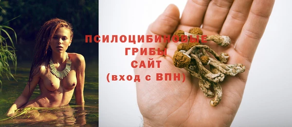 скорость Лагань