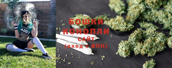ГАЛЛЮЦИНОГЕННЫЕ ГРИБЫ Лабытнанги