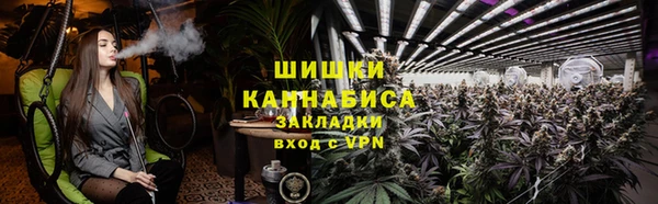 ГАЛЛЮЦИНОГЕННЫЕ ГРИБЫ Лабытнанги