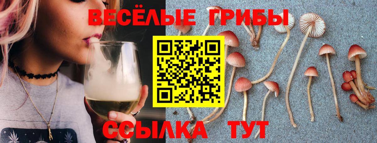 A-PVP СК   Мефедрон  ЭКСТАЗИ  МАРИХУАНА  МЕФ кристаллы  ГАШ  Кокаин  ТГК  Людиново  Вход с VPN  NBOMe 
