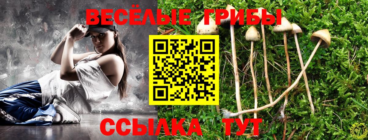 Галлюциногенные грибы ЛСД  Вход с VPN  Людиново 